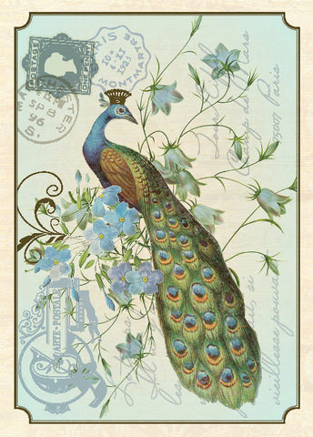 French Post Card Peacock Boxed Note